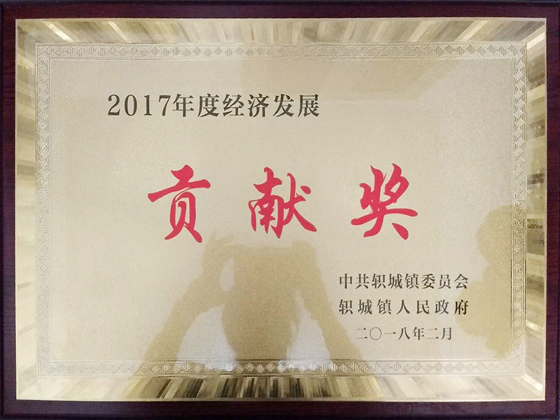 2017年度经济发展贡献奖